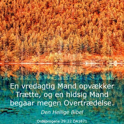 Picture 03 - Ordsprogene 29:22 DA1871 - En vredagtig Mand opvækker Trætte, og en hidsig - Bible Verse Picture