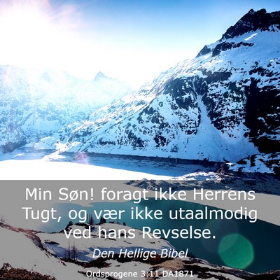 Picture 03 - Ordsprogene 3:11 DA1871 - Min Søn! foragt ikke Herrens Tugt, og vær ikke - Bible Verse Picture