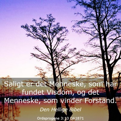 Picture 03 - Ordsprogene 3:13 DA1871 - Saligt er det Menneske, som har fundet Visdom, og - Bible Verse Picture