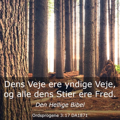 Picture 03 - Ordsprogene 3:17 DA1871 - Dens Veje ere yndige Veje, og alle dens Stier ere - Bible Verse Picture