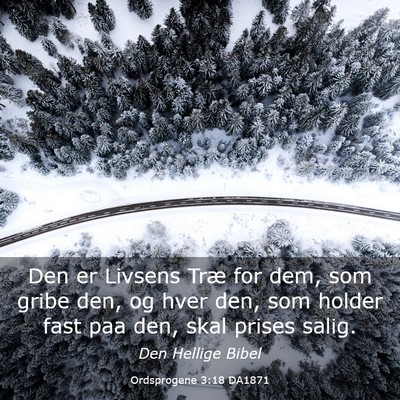 Picture 03 - Ordsprogene 3:18 DA1871 - Den er Livsens Træ for dem, som gribe den, og - Bible Verse Picture