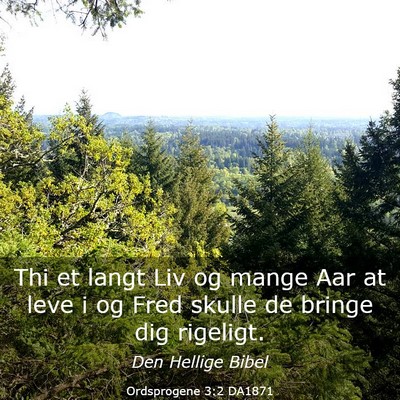 Picture 03 - Ordsprogene 3:2 DA1871 - Thi et langt Liv og mange Aar at leve i og Fred - Bible Verse Picture