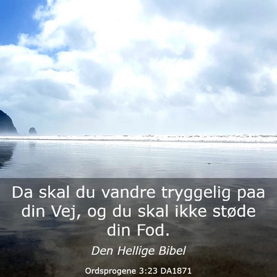 Picture 03 - Ordsprogene 3:23 DA1871 - Da skal du vandre tryggelig paa din Vej, og du - Bible Verse Picture