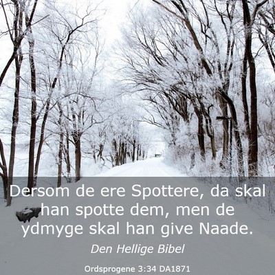 Picture 03 - Ordsprogene 3:34 DA1871 - Dersom de ere Spottere, da skal han spotte dem, - Bible Verse Picture
