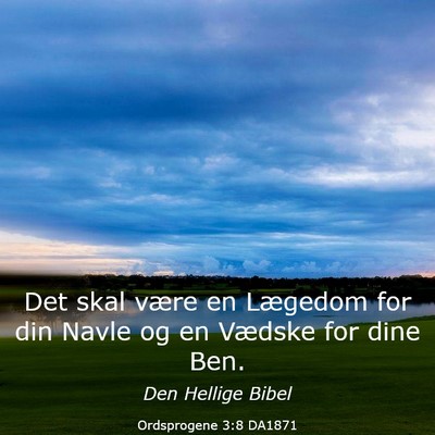 Picture 03 - Ordsprogene 3:8 DA1871 - Det skal være en Lægedom for din Navle og en - Bible Verse Picture