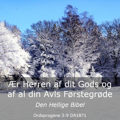 Picture 03 - Ordsprogene 3:9 DA1871 - Ær Herren af dit Gods og af al din Avls - Bible Verse Picture