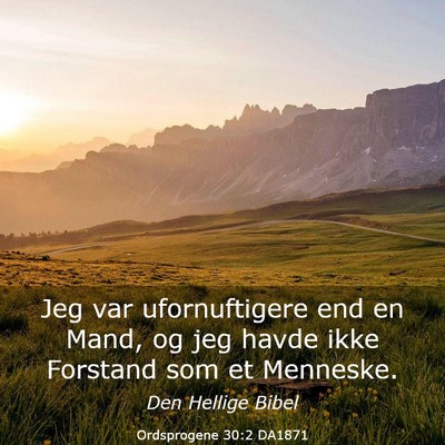 Picture 03 - Ordsprogene 30:2 DA1871 - Jeg var ufornuftigere end en Mand, og jeg havde - Bible Verse Picture