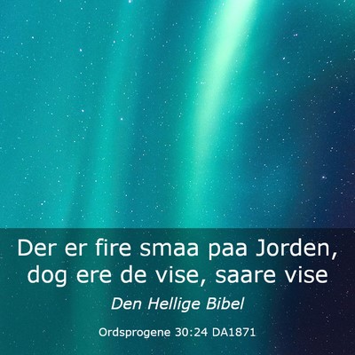 Picture 03 - Ordsprogene 30:24 DA1871 - Der er fire smaa paa Jorden, dog ere de vise, - Bible Verse Picture