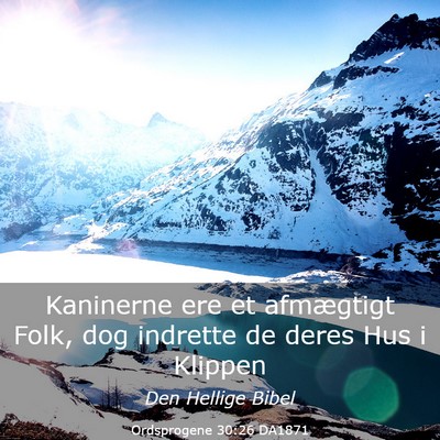 Picture 03 - Ordsprogene 30:26 DA1871 - Kaninerne ere et afmægtigt Folk, dog indrette de - Bible Verse Picture