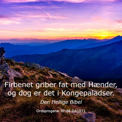 Picture 03 - Ordsprogene 30:28 DA1871 - Firbenet griber fat med Hænder, og dog er det i - Bible Verse Picture