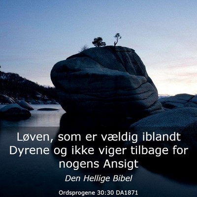 Picture 03 - Ordsprogene 30:30 DA1871 - Løven, som er vældig iblandt Dyrene og ikke - Bible Verse Picture