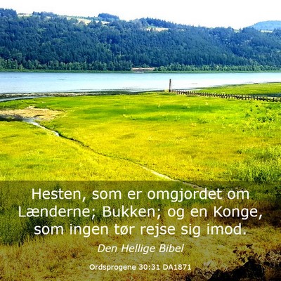Picture 03 - Ordsprogene 30:31 DA1871 - Hesten, som er omgjordet om Lænderne; Bukken; og - Bible Verse Picture