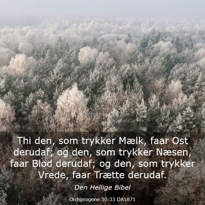 Picture 03 - Ordsprogene 30:33 DA1871 - Thi den, som trykker Mælk, faar Ost derudaf; og - Bible Verse Picture