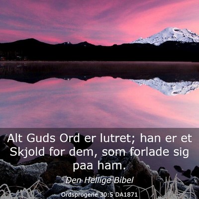 Picture 03 - Ordsprogene 30:5 DA1871 - Alt Guds Ord er lutret; han er et Skjold for dem, - Bible Verse Picture
