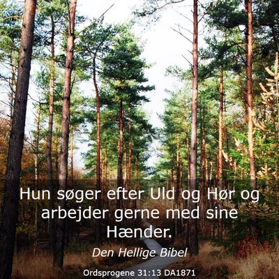 Picture 03 - Ordsprogene 31:13 DA1871 - Hun søger efter Uld og Hør og arbejder gerne - Bible Verse Picture