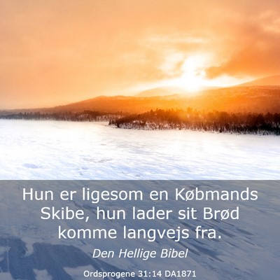 Picture 03 - Ordsprogene 31:14 DA1871 - Hun er ligesom en Købmands Skibe, hun lader sit - Bible Verse Picture