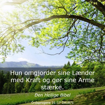 Picture 03 - Ordsprogene 31:17 DA1871 - Hun omgjorder sine Lænder med Kraft og gør sine - Bible Verse Picture