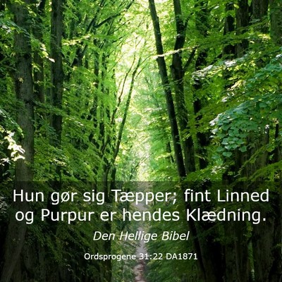Picture 03 - Ordsprogene 31:22 DA1871 - Hun gør sig Tæpper; fint Linned og Purpur er - Bible Verse Picture