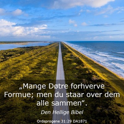 Picture 03 - Ordsprogene 31:29 DA1871 - „Mange Døtre forhverve Formue; men du staar - Bible Verse Picture