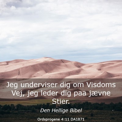 Picture 03 - Ordsprogene 4:11 DA1871 - Jeg underviser dig om Visdoms Vej, jeg leder dig - Bible Verse Picture