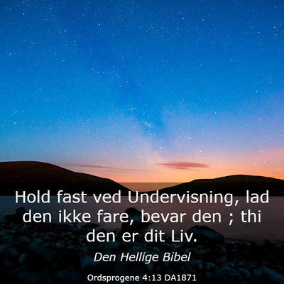Picture 03 - Ordsprogene 4:13 DA1871 - Hold fast ved Undervisning, lad den ikke fare, - Bible Verse Picture