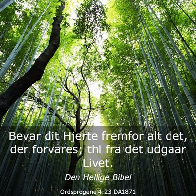 Picture 03 - Ordsprogene 4:23 DA1871 - Bevar dit Hjerte fremfor alt det, der forvares; - Bible Verse Picture