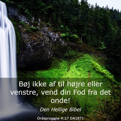 Picture 03 - Ordsprogene 4:27 DA1871 - Bøj ikke af til højre eller venstre, vend din - Bible Verse Picture