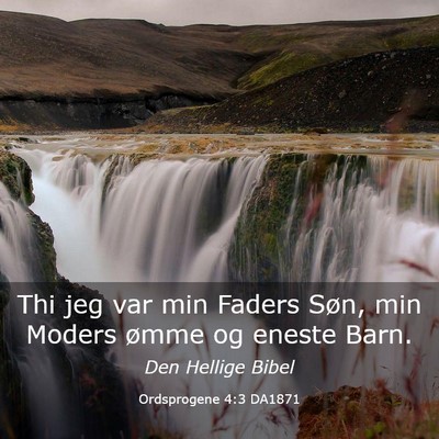 Picture 03 - Ordsprogene 4:3 DA1871 - Thi jeg var min Faders Søn, min Moders ømme og - Bible Verse Picture