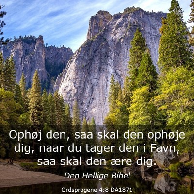 Picture 03 - Ordsprogene 4:8 DA1871 - Ophøj den, saa skal den ophøje dig, naar du - Bible Verse Picture