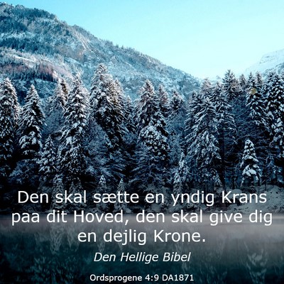 Picture 03 - Ordsprogene 4:9 DA1871 - Den skal sætte en yndig Krans paa dit Hoved, den - Bible Verse Picture