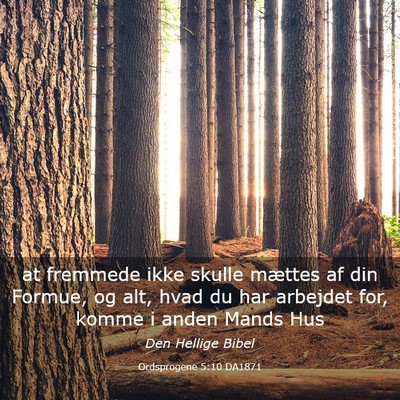 Picture 03 - Ordsprogene 5:10 DA1871 - at fremmede ikke skulle mættes af din Formue, og - Bible Verse Picture