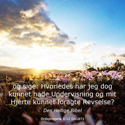 Picture 03 - Ordsprogene 5:12 DA1871 - og sige: Hvorledes har jeg dog kunnet hade - Bible Verse Picture