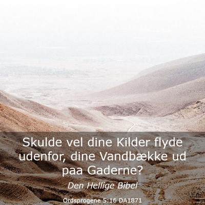 Picture 03 - Ordsprogene 5:16 DA1871 - Skulde vel dine Kilder flyde udenfor, dine - Bible Verse Picture