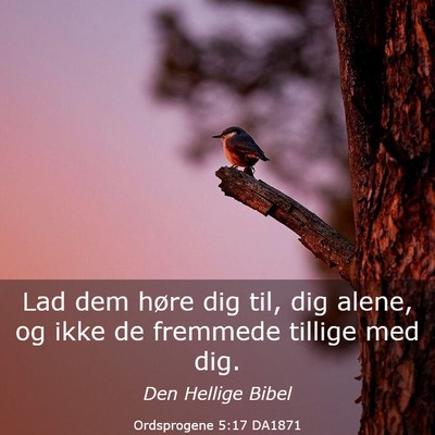 Picture 03 - Ordsprogene 5:17 DA1871 - Lad dem høre dig til, dig alene, og ikke de - Bible Verse Picture