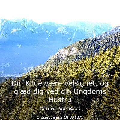 Picture 03 - Ordsprogene 5:18 DA1871 - Din Kilde være velsignet, og glæd dig ved din - Bible Verse Picture