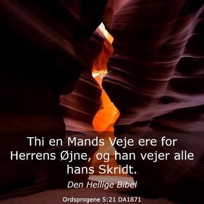 Picture 03 - Ordsprogene 5:21 DA1871 - Thi en Mands Veje ere for Herrens Øjne, og han - Bible Verse Picture