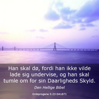 Picture 03 - Ordsprogene 5:23 DA1871 - Han skal dø, fordi han ikke vilde lade sig - Bible Verse Picture