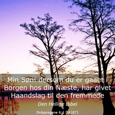 Picture 03 - Ordsprogene 6:1 DA1871 - Min Søn! dersom du er gaaet i Borgen hos din - Bible Verse Picture