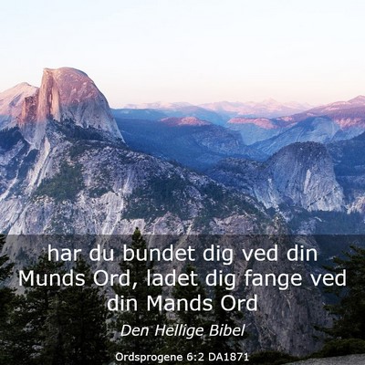 Picture 03 - Ordsprogene 6:2 DA1871 - har du bundet dig ved din Munds Ord, ladet dig - Bible Verse Picture