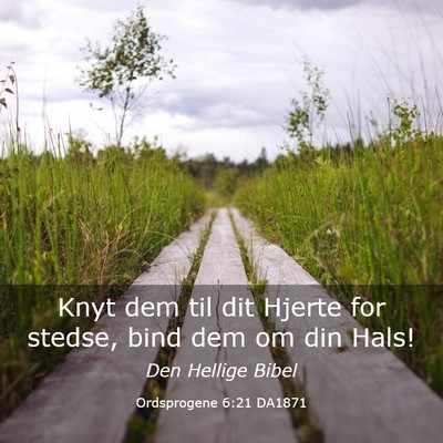 Picture 03 - Ordsprogene 6:21 DA1871 - Knyt dem til dit Hjerte for stedse, bind dem om - Bible Verse Picture