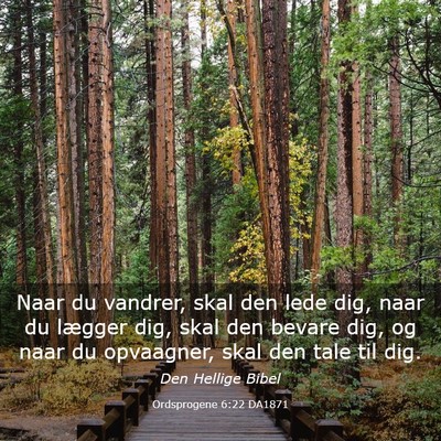 Picture 03 - Ordsprogene 6:22 DA1871 - Naar du vandrer, skal den lede dig, naar du - Bible Verse Picture