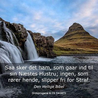 Picture 03 - Ordsprogene 6:29 DA1871 - Saa sker det ham, som gaar ind til sin Næstes - Bible Verse Picture