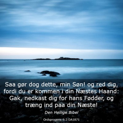 Picture 03 - Ordsprogene 6:3 DA1871 - Saa gør dog dette, min Søn! og red dig, fordi - Bible Verse Picture