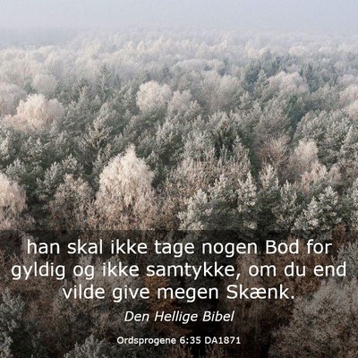 Picture 03 - Ordsprogene 6:35 DA1871 - han skal ikke tage nogen Bod for gyldig og ikke - Bible Verse Picture