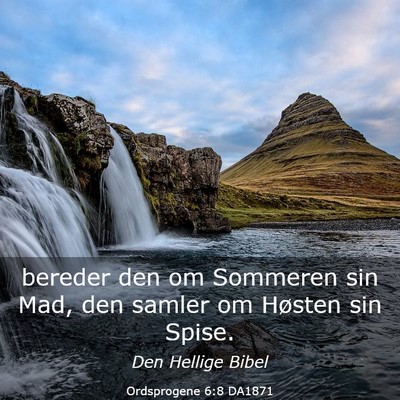 Picture 03 - Ordsprogene 6:8 DA1871 - bereder den om Sommeren sin Mad, den samler om - Bible Verse Picture