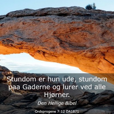 Picture 03 - Ordsprogene 7:12 DA1871 - Stundom er hun ude, stundom paa Gaderne og lurer - Bible Verse Picture