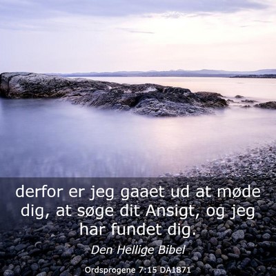 Picture 03 - Ordsprogene 7:15 DA1871 - derfor er jeg gaaet ud at møde dig, at søge dit - Bible Verse Picture