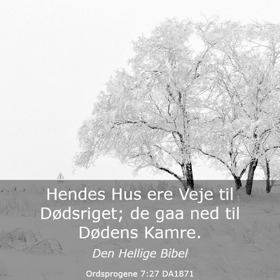 Picture 03 - Ordsprogene 7:27 DA1871 - Hendes Hus ere Veje til Dødsriget; de gaa ned - Bible Verse Picture