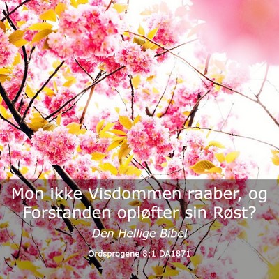 Picture 03 - Ordsprogene 8:1 DA1871 - Mon ikke Visdommen raaber, og Forstanden - Bible Verse Picture