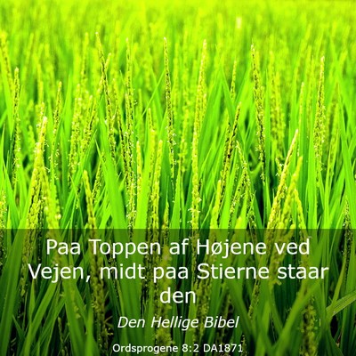 Picture 03 - Ordsprogene 8:2 DA1871 - Paa Toppen af Højene ved Vejen, midt paa Stierne - Bible Verse Picture